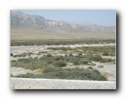 Click to enlarge this image